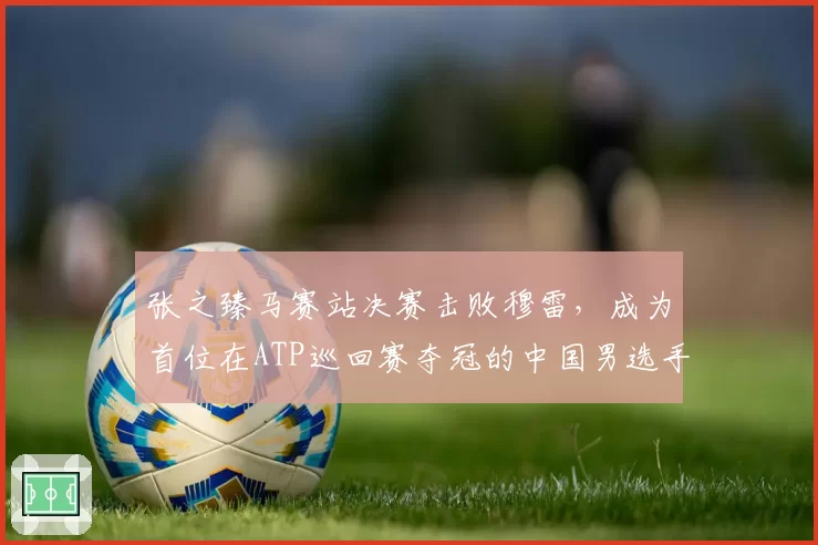 张之臻马赛站决赛击败穆雷，成为首位在ATP巡回赛夺冠的中国男选手